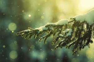 christmas backgrounds tumblr 1920x1080 for android