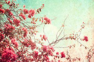 full size wallpaper tumblr 2560x1600 for iphone 5