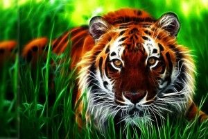 The Best 3D Wallpaper 1920x1080 for windows 10