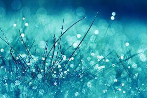 hd wallpapers 1920x1200 for hd