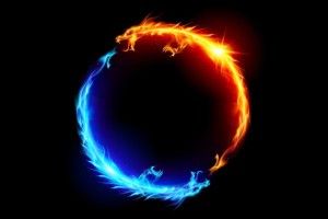 Yin Yang Dragon Wallpaper 1920x1080 for hd