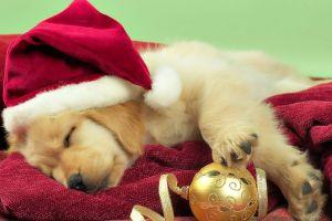 cute christmas wallpaper 1920x1080 htc