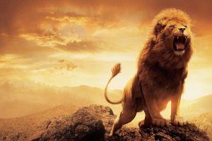 most popular wallpaper full hd 2880x1800 for 4K