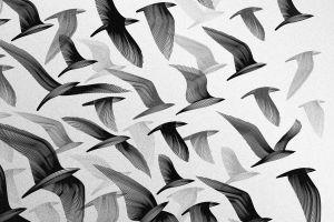 black and white background 1920x1200 iPhone