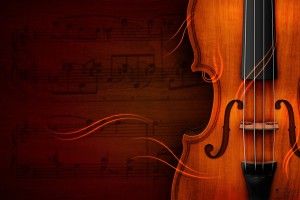 Viola Wallpapers 2560x1600 image