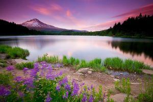 vertical background images landscape 2560x1600