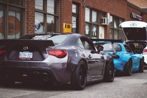 beautiful Rocket Bunny Wallpapers 1920x1080 HD