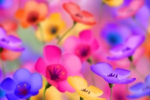 download Full HD Flowers Wallpapers 1920x1080 for iphone