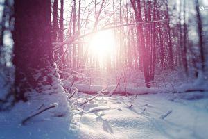 january wallpaper 1920x1080 download free