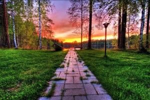 cool Wonderful Wallpaper 2560x1600 mac