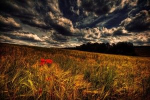 free Hdr Backgrounds 1920x1280 samsung galaxy