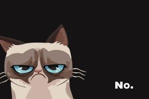 Grumpy Wallpaper 1920x1080 for iphone 7