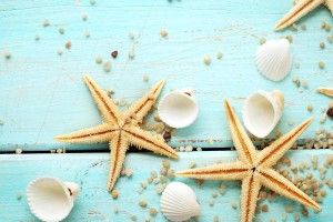 large Starfish Wallpaper 2000x1719 high resolution