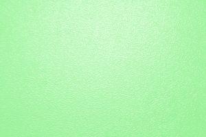 popular light green background 3888x2592 Mobile