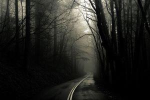 dark wallpapers hd 2560x1600 for phones