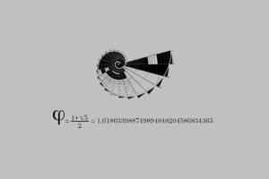 free Golden Ratio Wallpaper 2560x1440