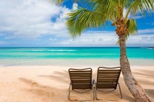download free Tropical Island Desktop Wallpaper 2560x1600 download free
