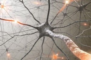 top Neuron Wallpapers 1920x1080 for Full HD