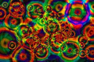 Shrooms Background 2560x1600 high resolution