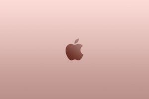vertical rose gold wallpaper 2048x1536 large resolution