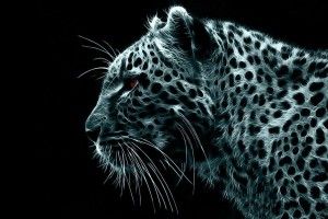 Cool Crazy Backgrounds 1920x1080 download
