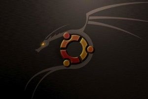 amazing Ubuntu Dragon Wallpaper 1920x1080 tablet
