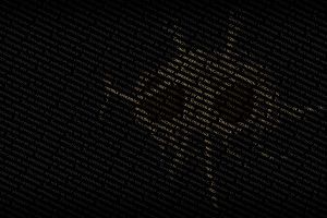 Fsm Wallpaper 1920x1080 notebook