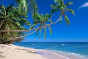 cool Island Background Pictures 1920x1080