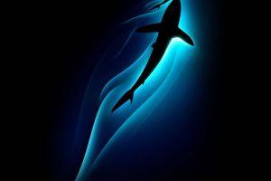 mobile wallpapers 1080x1920 download free
