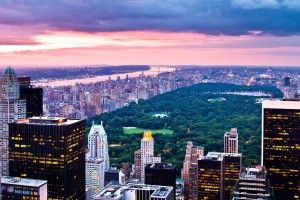 large Central Park Background 1920x1080