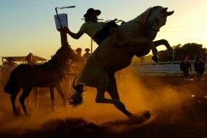 amazing Rodeo Wallpaper 2401x1756