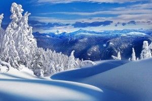 download free Winter Landscape Wallpaper 1920x1080 Phone