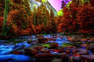 download free 3D Fall Wallpaper 1920x1200 for mobile hd