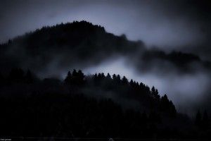 most popular Dark Woods Wallpaper 3000x2000