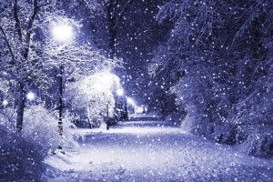 amazing Beautiful Winter Wallpaper 2560x1600 macbook