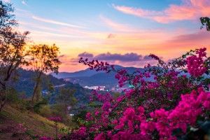 best HD Spring Wallpapers for Desktop 1920x1080