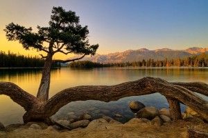 Relaxing Desktop Background 1920x1200 pictures