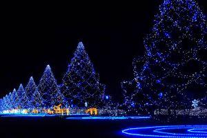 christmas lights background 1920x1200 photo