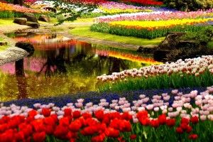 most popular Spring Garden Wallpaper 1920x1200 for 4K monitor