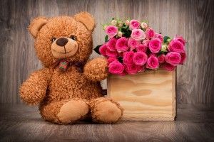 beautiful Cute Teddy Bear Wallpapers 2560x1817 4K