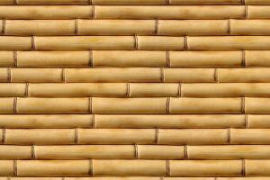 vertical bamboo wallpaper 2560x1600 hd 1080p
