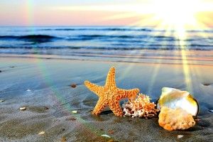 Summertime Wallpaper 1920x1080 720p