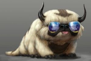 Cool Cat Backgrounds 1920x1200 for android 5.0