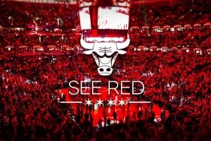 most popular Chicago Bulls Wallpaper HD 2017 1920x1080