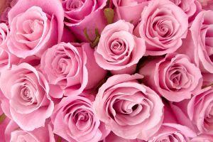pretty tumblr backgrounds for girls 2560x1600 for desktop