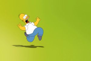 Homer Simpson Background 2560x1600 for pc