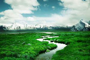 amazing hd desktop wallpaper 2560x1600 htc