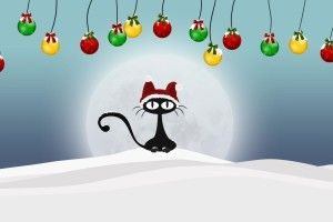 zoom funny christmas background free