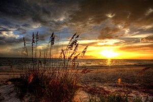most popular Sunrise Wallpapers 1920x1200 for computer