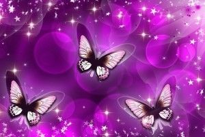 Purple Butterfly Wallpaper 1920x1080 screen